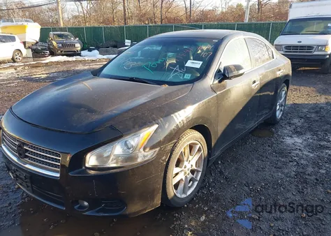 2010 Nissan Maxima 3.5 Sv из США, поврежденный, VIN 1N4AA5AP9AC818116